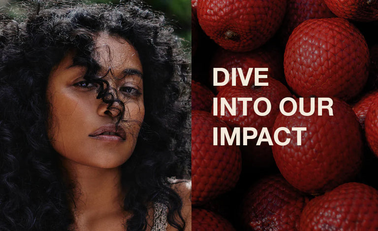 Dive into our impact image