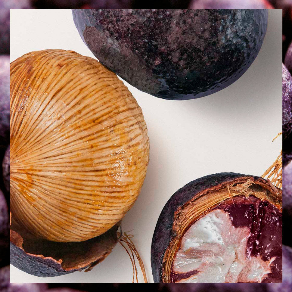 Açaí: the energizing super berry from the Amazon ForestKnown for its powerful properties, açaí is one of the forest's greatest strengths. It produces a precious oil, rich in antioxidants and vitamins, that leaves your skin healthy and deliciously scented.